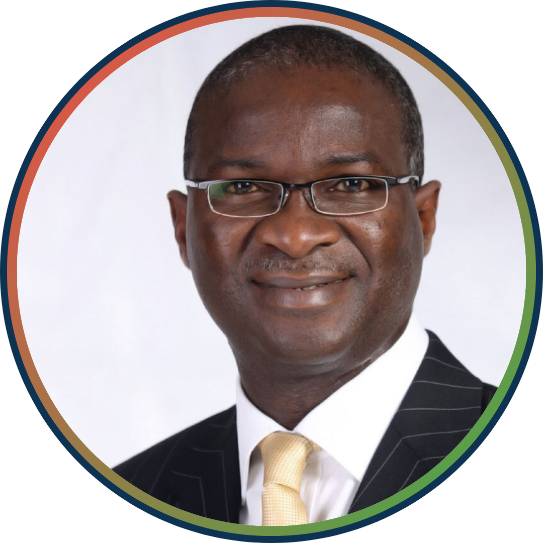 Babatunde Fashola